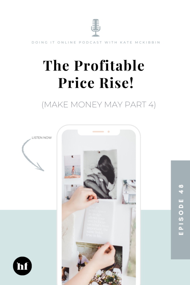 Episode 48 the profitable price rise
